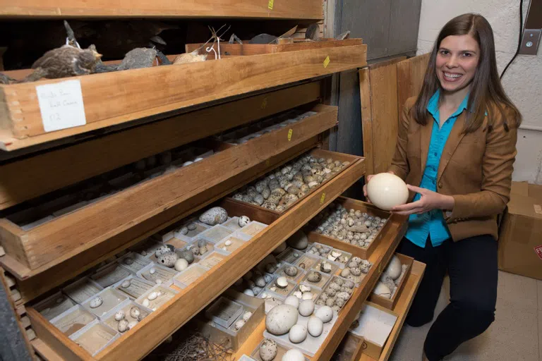 Categorized Animal Eggs in Guyot Hall