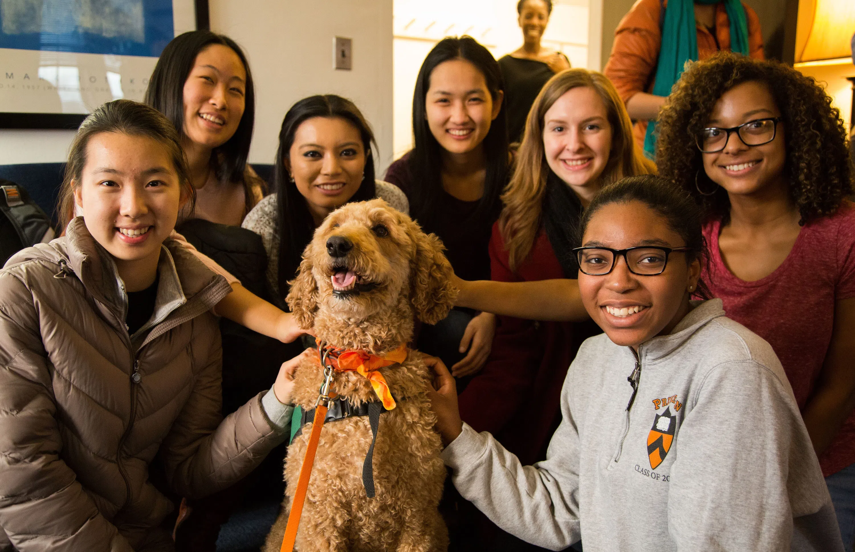 Students Meeting Therapy Dog 