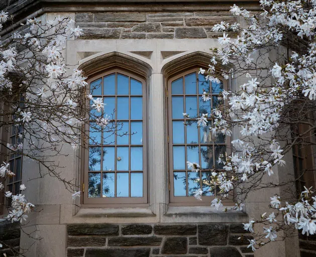 Mathey's windows in spring