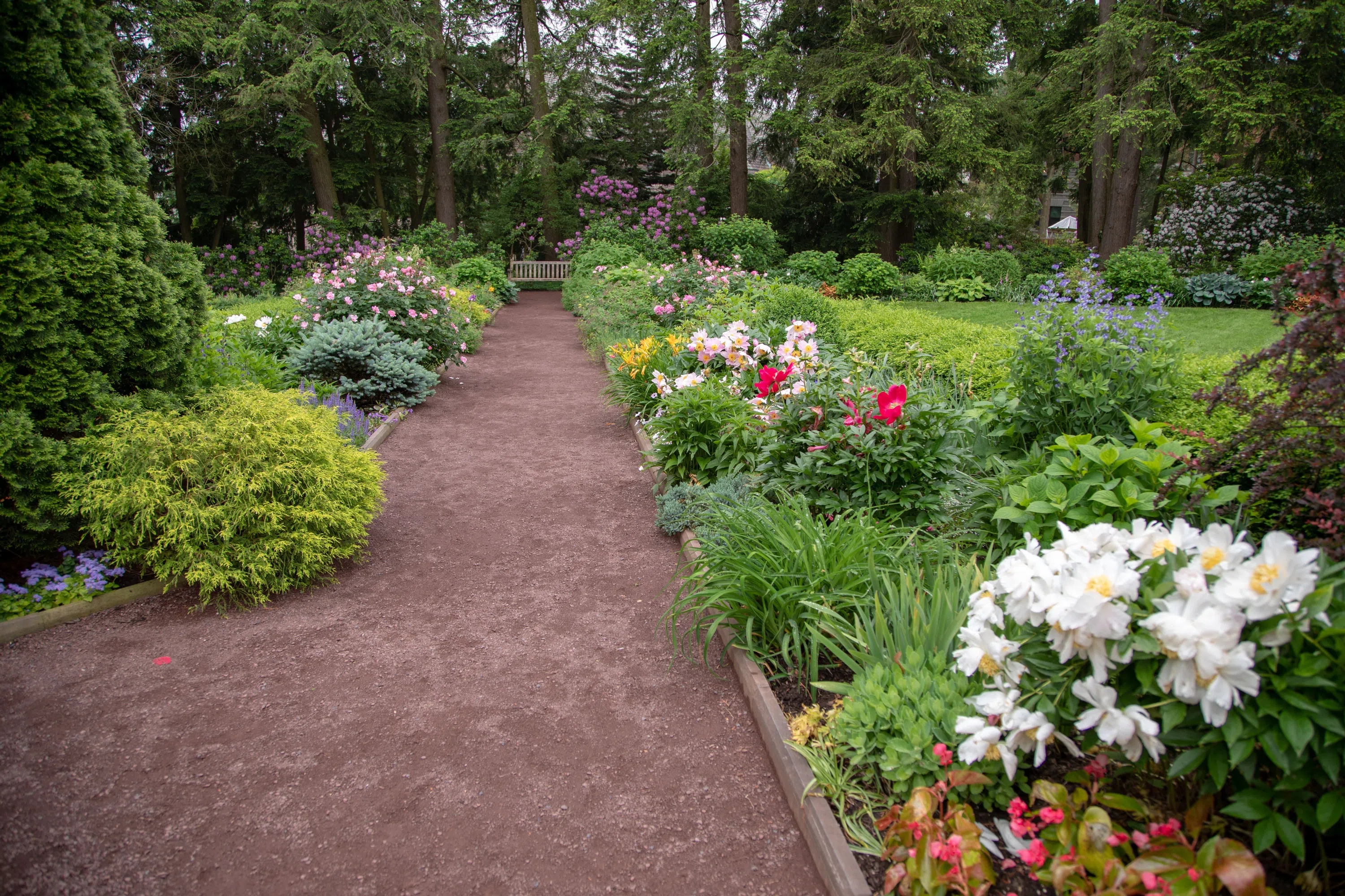 Blooming Walkway