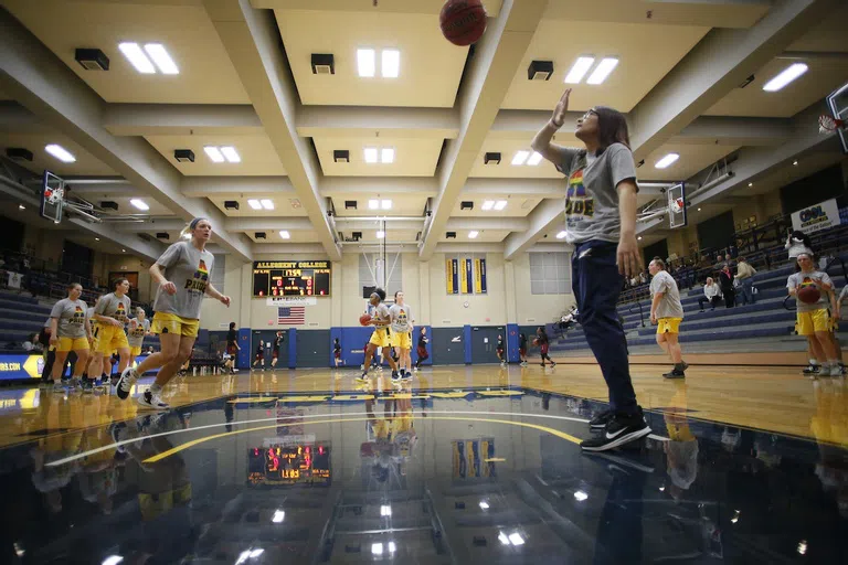 Basketball court - Wise Center