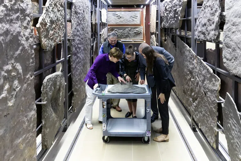 Students and faculty look under magnifying glass at fossils.