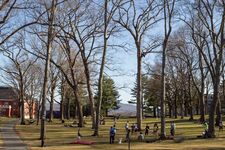 Large open field with people hanging on hammocks, playing, and laying on blankets.