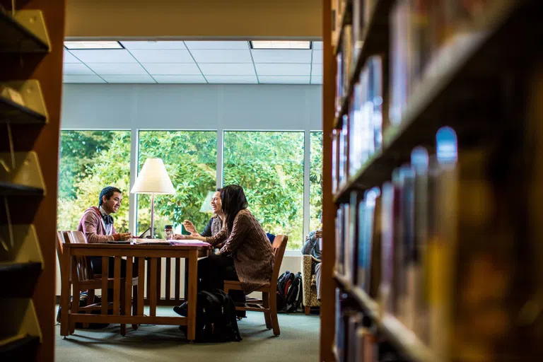 Students meet at a table in The Landman Library