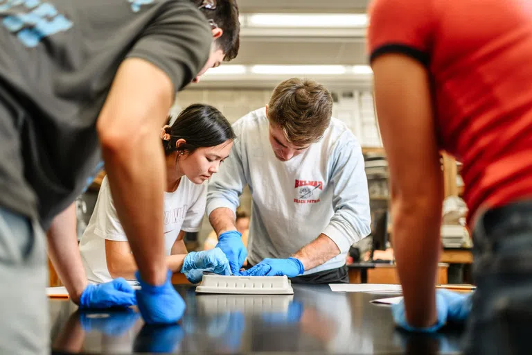 Students perform a dissection in Biology class 