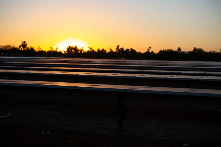 The sun rises over rows of solar panels reflecting back the light.