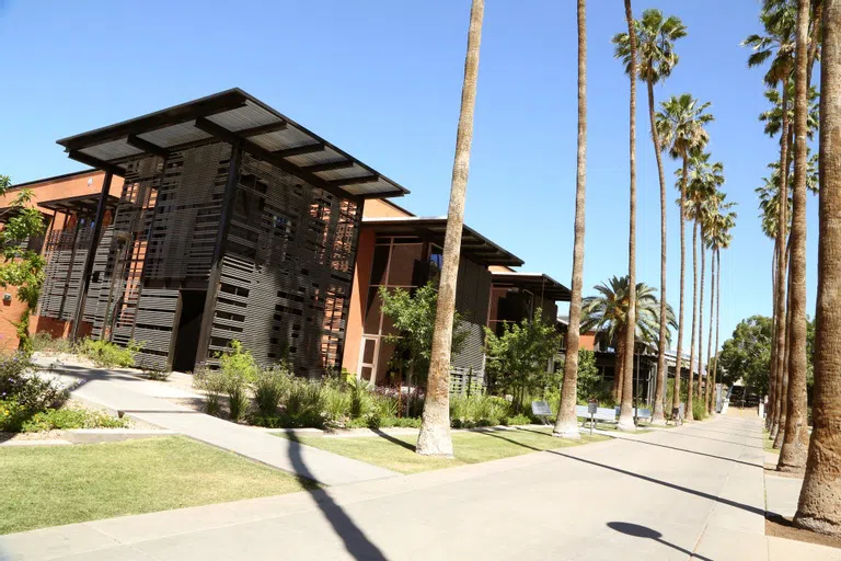 Exterior of Health Services building with walkway in front of it lined with palm trees. 