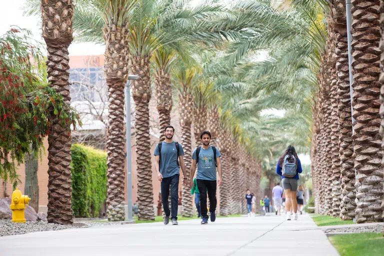 Students walk along a path lined with palm trees.