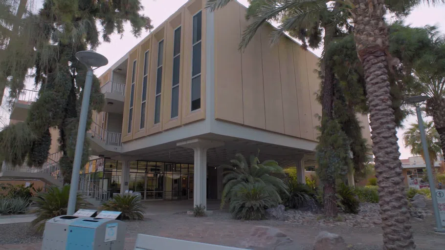 Palm trees and pine trees in front of a three-story building with exterior stairway.