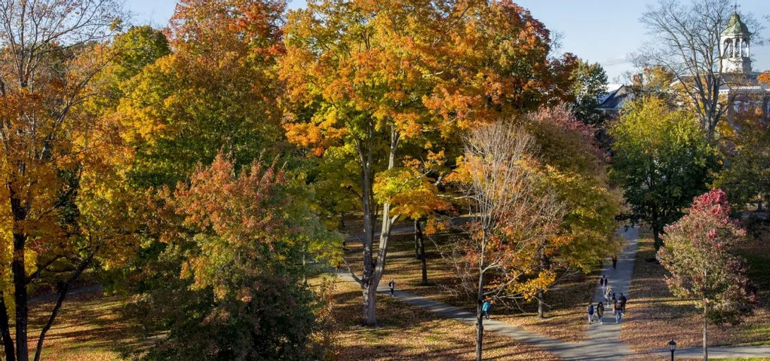 An aerial view of the maple trees of the Quad in early fall