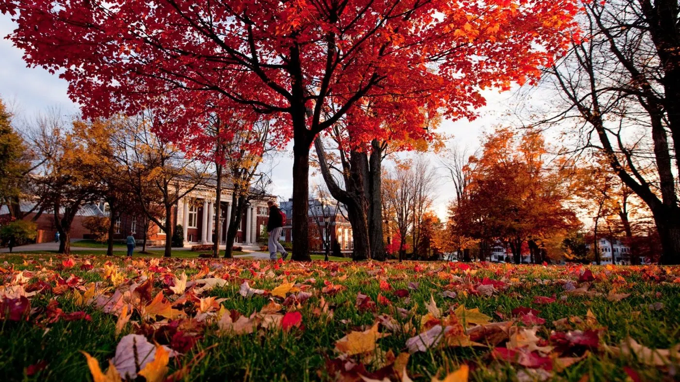A look at the Quad during the fall