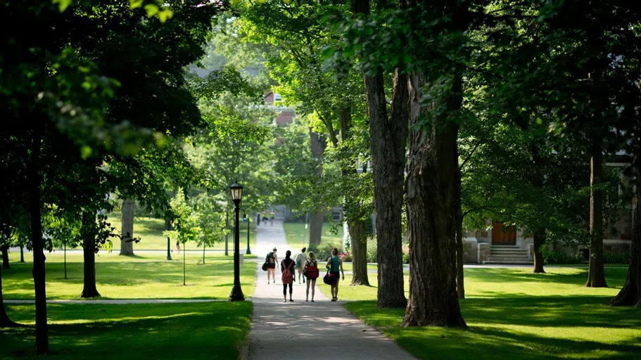 Several students meander down the paths of the Quad during the summer