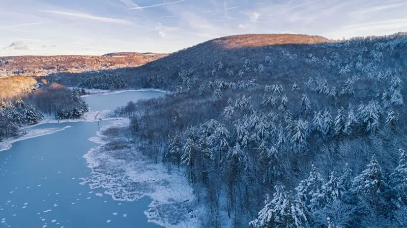 Winter view of nature preserve covered in snow