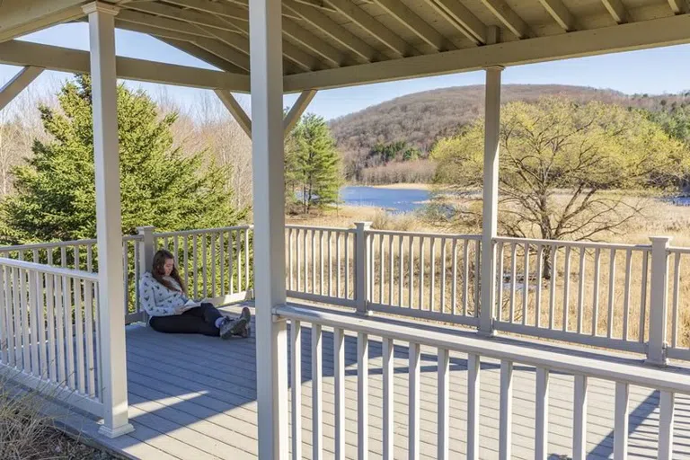 Popular hangout area in the nature preserve