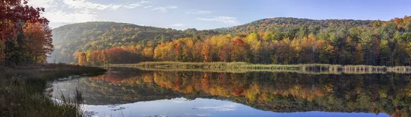 Fall view of nature preserve pond