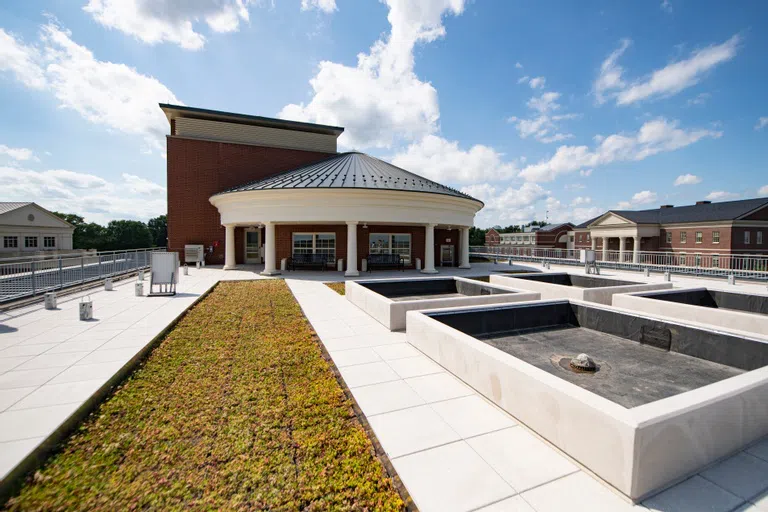 the rooftop garden of academic east; a row of growing plants in the foreground with several fountains to the right