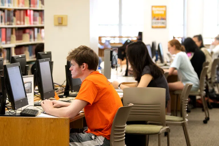 A group of students, sitting in a line, perform work on computers