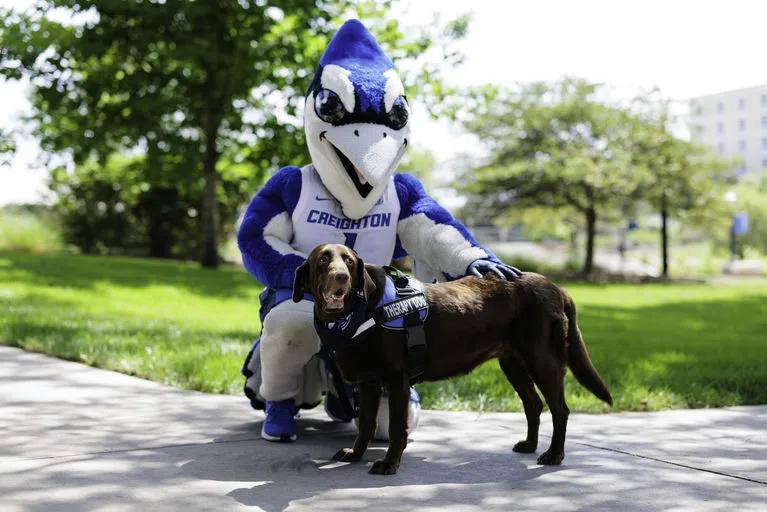 Cocoa the Therapy Dog with Billy th Bluejay