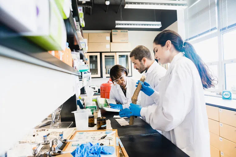 Two students and a faculty member working at a lab bench.