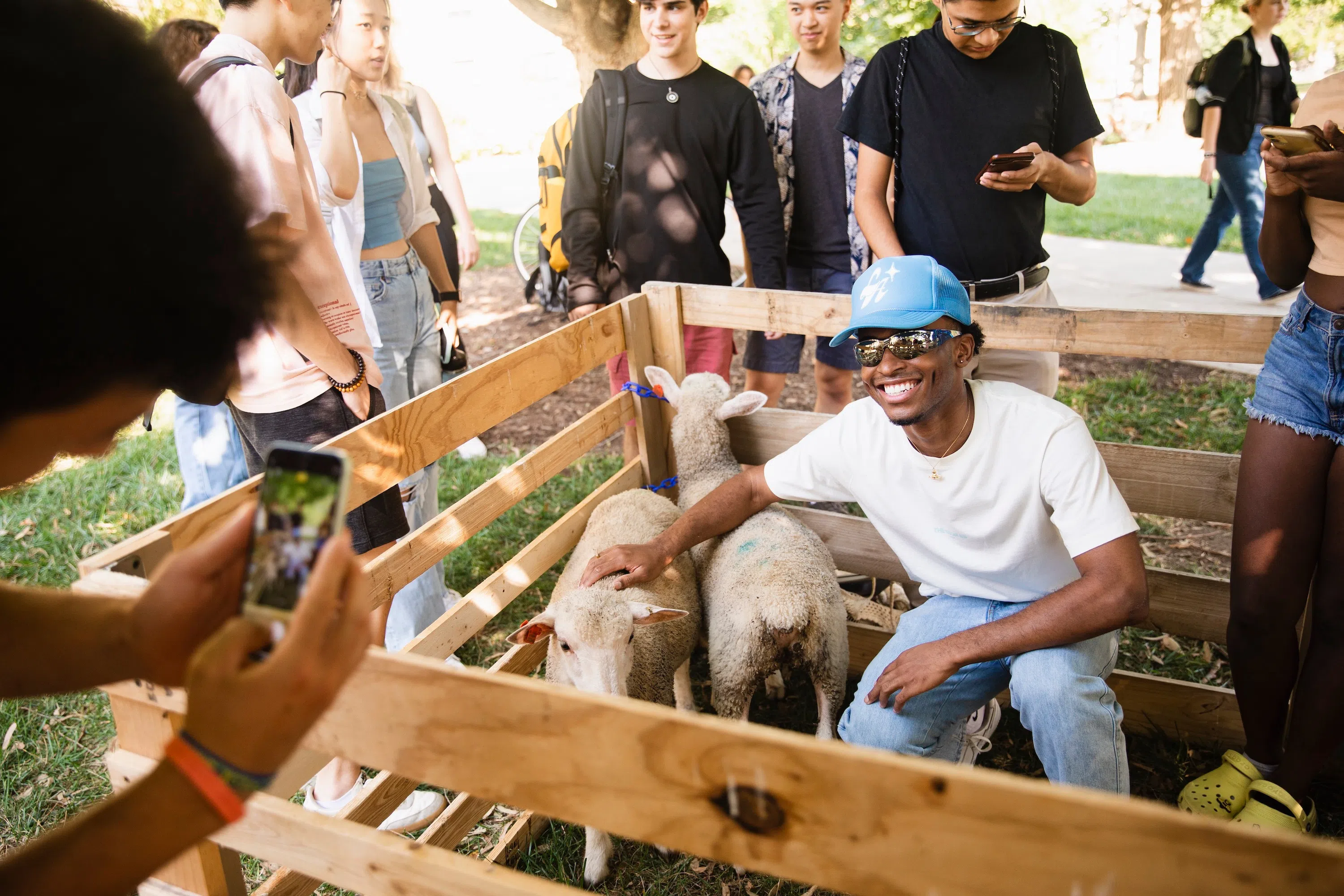 A student poses for a photo inside a wooden pen alongside two baby sheep with other students gathered around outside the pen.