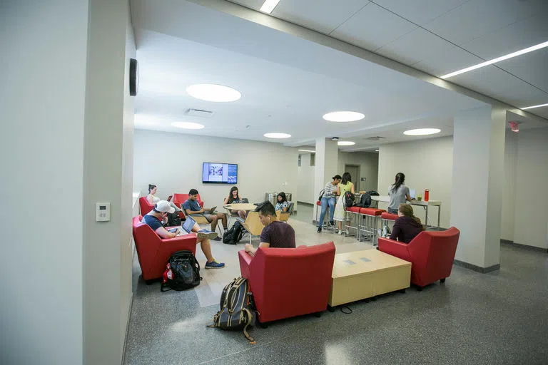 Dyson (DYSN) students hang out and work in a student lounge in Warren Hall.