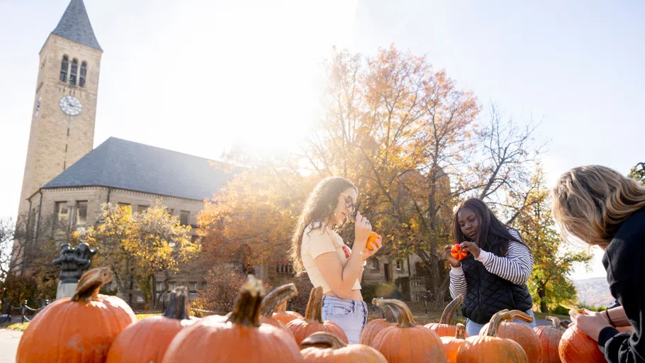 Students decorate pumpkins on the Arts Quad during a fall celebration. McGraw Tower stands in the background.