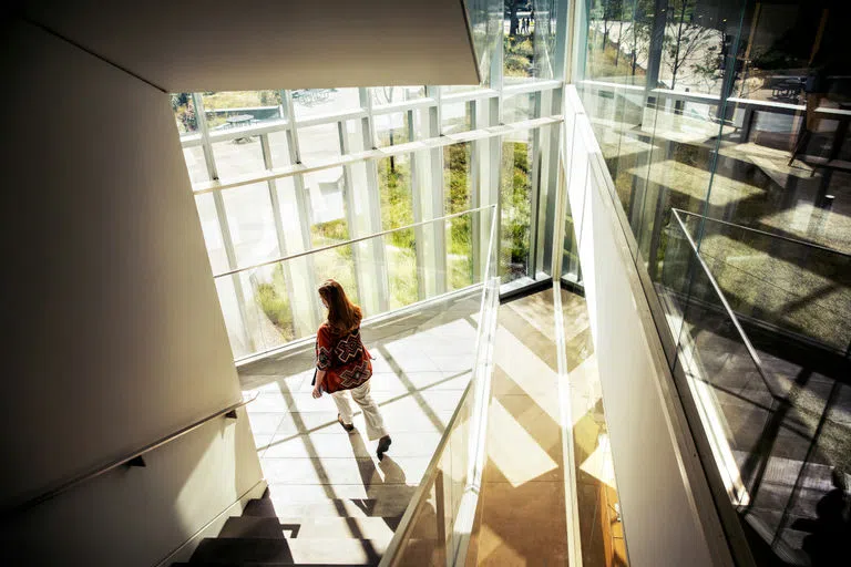 Afternoon light fills the stairwell of CVM Center at the College of Veterinary Medicine, where a student heads out to the courtyard.