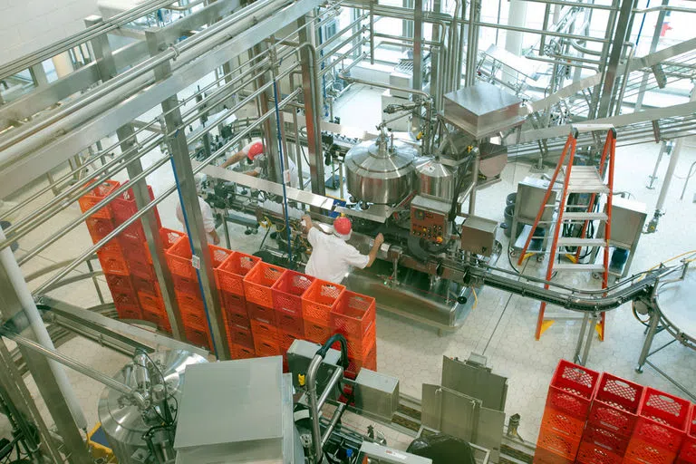 Workers checking the machinery in the Cornell Dairy production facilities.