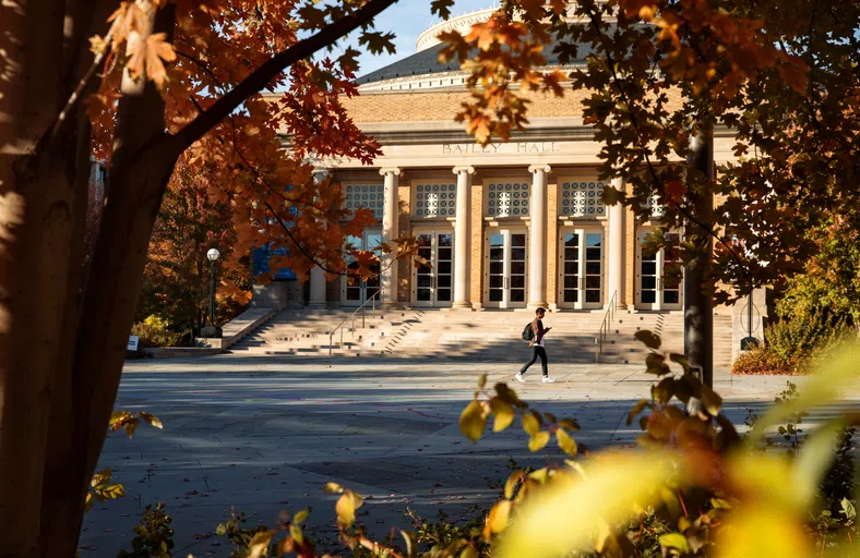 A view of the exterior of Bailey Hall with a student walking across the sidewalk, taken through the surrounding autumn leaves