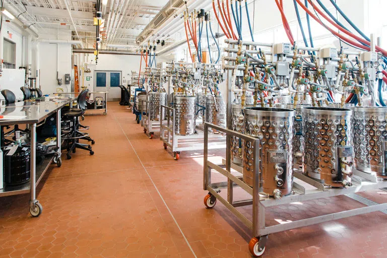 Red and blue tubing connects three carts of stainless steel vats to tubing on the ceiling in a wine teaching lab in Stocking Hall.