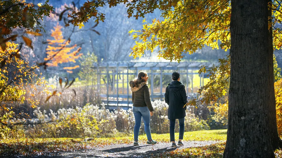 Visitors walk the path around Houston Pond at F. R. Newman Arboretum, a part of Cornell Botanic Gardens, on a sunny fall day.