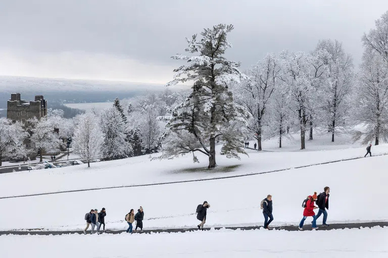 Students walking up an uphill path. In the background are snow-covered trees.