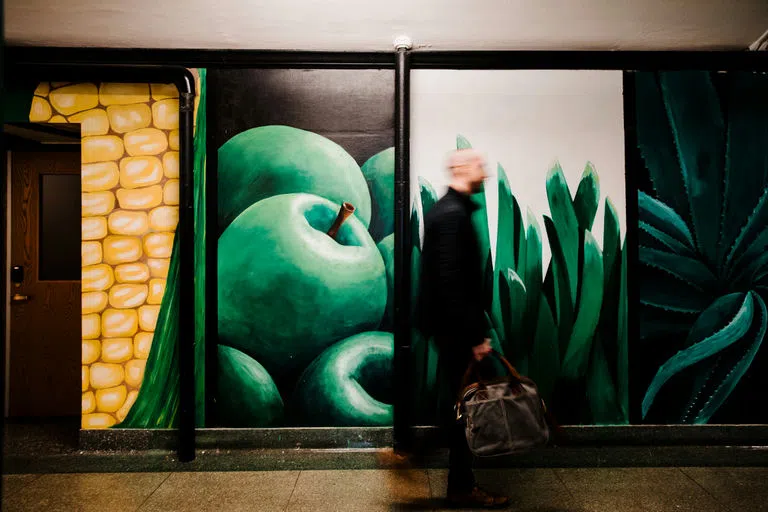 Inside Warren Hall, a student walks past a mural of agriculture. 