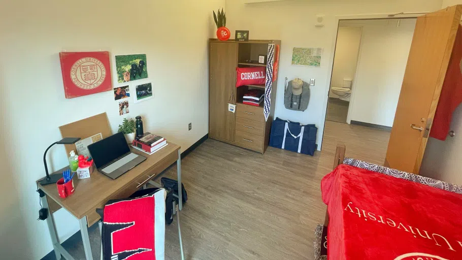 A typical residence hall room in Toni Morrison Hall with Cornell swag on the walls, shelves and bed, a desk, chair and laptop on the left, a bed on the right, and a closet and the entrance to the room at the back of the photo.