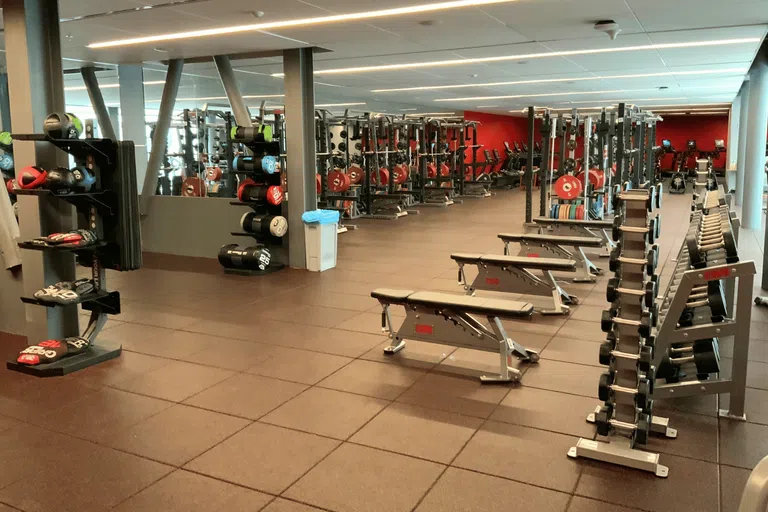 The fitness center at Toni Morrison Hall, including weight racks, benches and circuit machines.