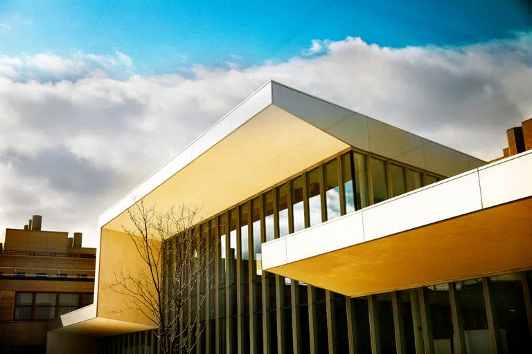 The east facade of Schurman Hall is lit by morning light on the campus of the College of Veterinary Medicine.