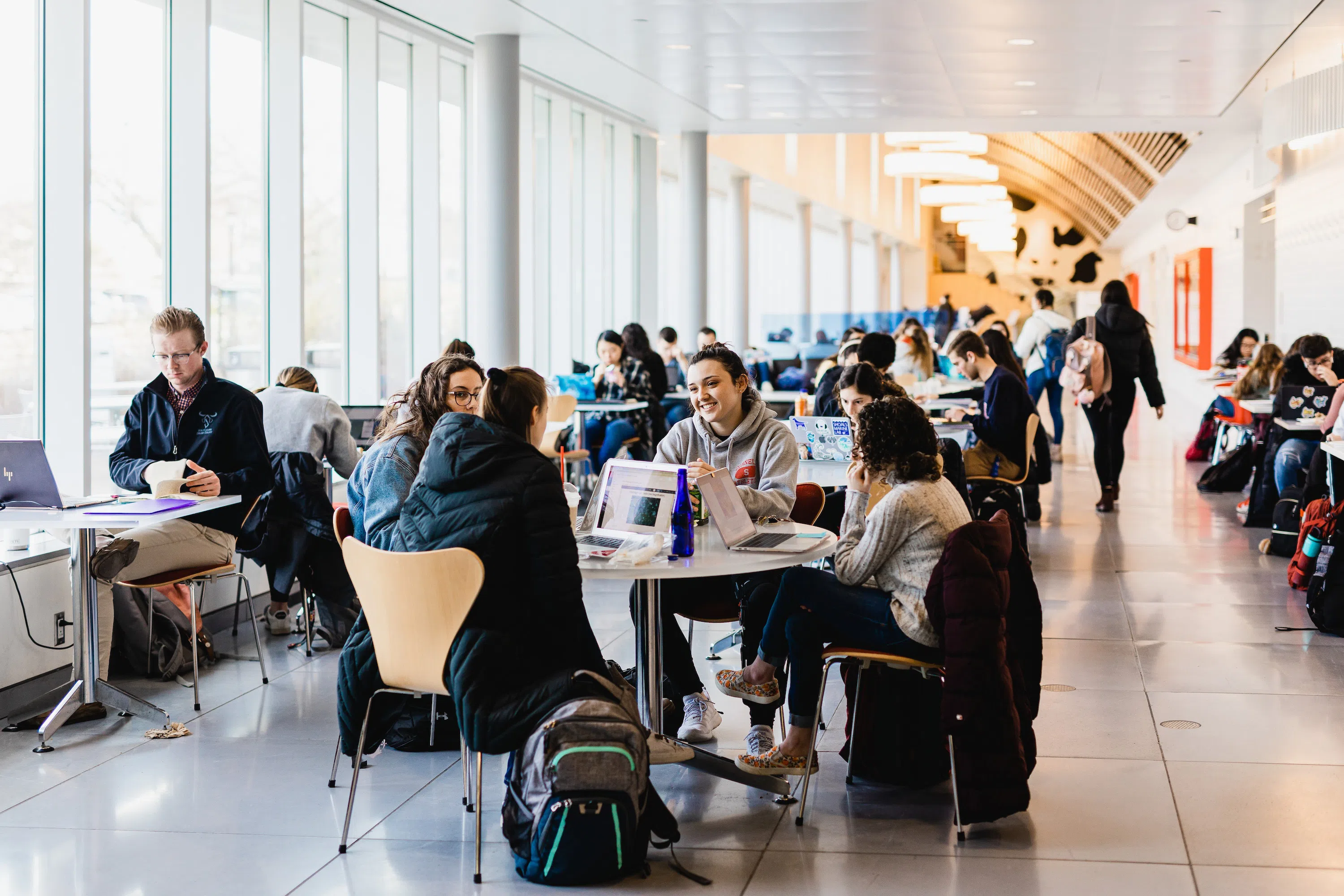 Over 20 students sitting at tables with their laptops out, talking and studying in the Stocking Hall Gallery.