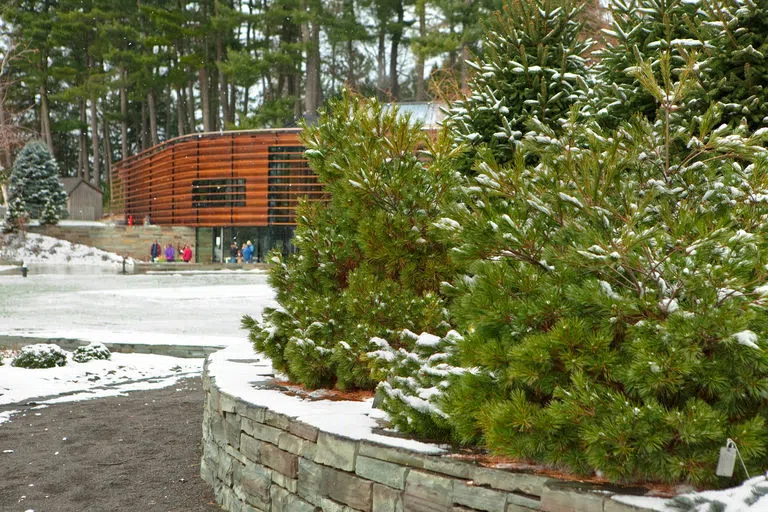 The Nevin Welcome Center at Cornell Botanic Gardens is in the background with snowy pines of the Mullestein Winter Garden prominently featured in the front.