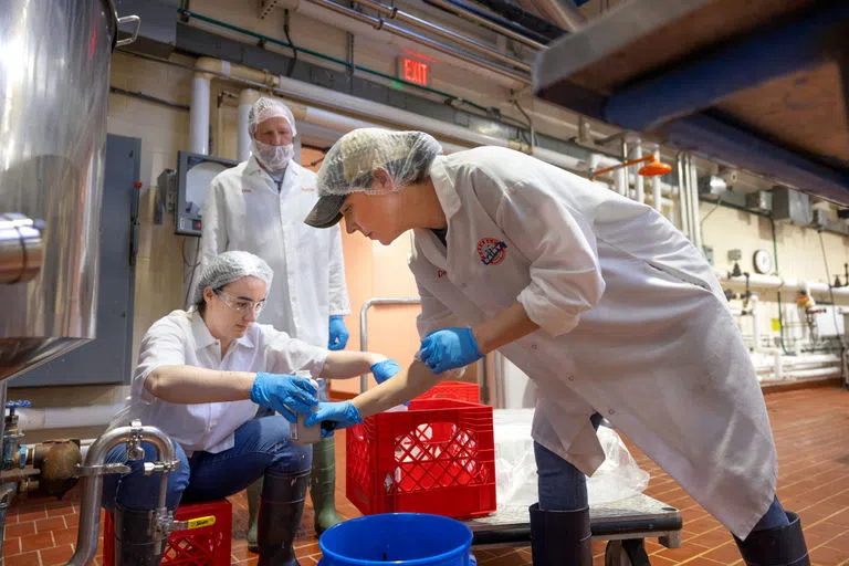 A regional dairy processing specialist with Cornell Dairy Foods Extension and two others wearing white lab coats, help to bottle high-protein chocolate milk drinks in Cornell’s Food Processing and Development Laboratory.