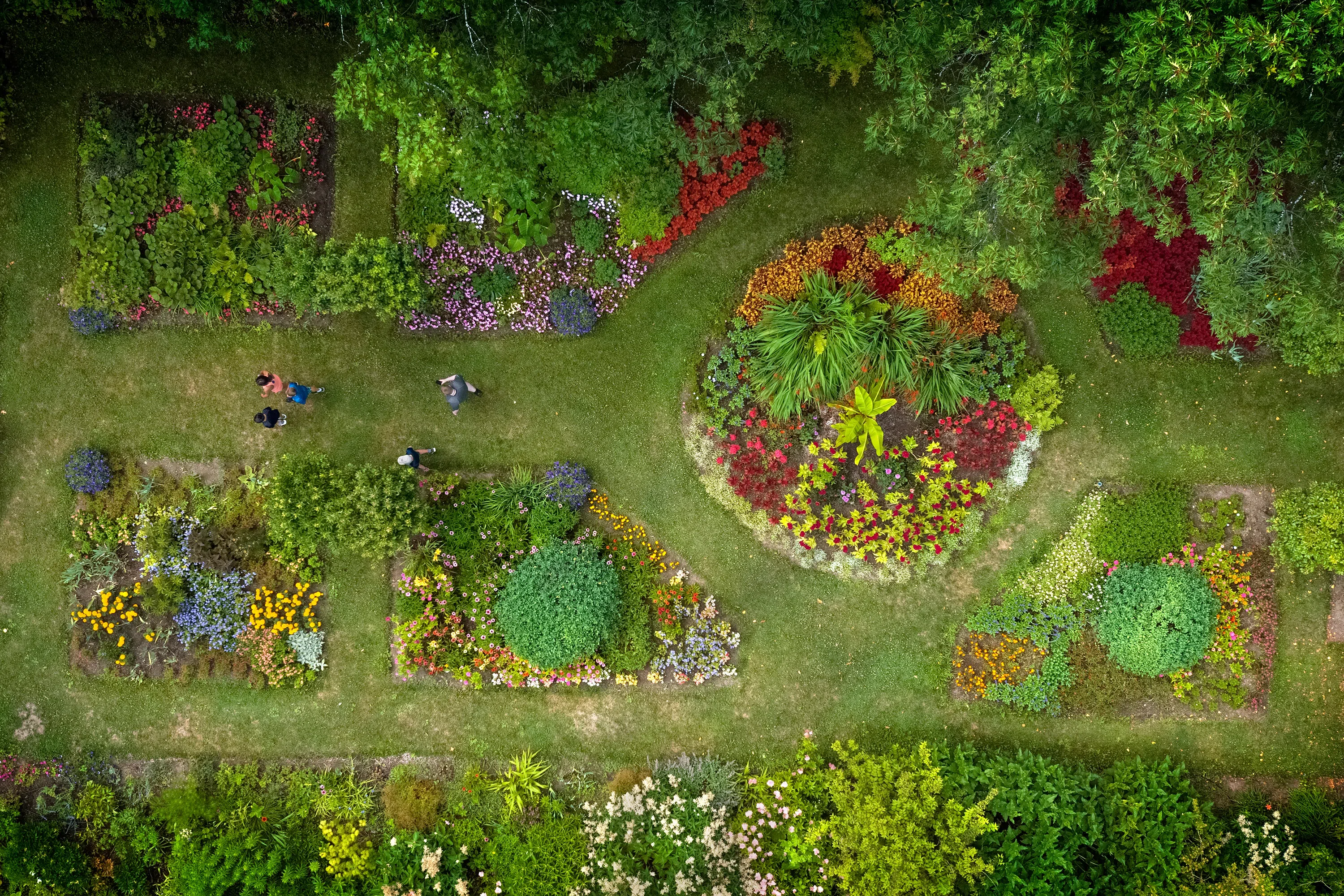 An overhead view of Minns Garden, showing an incredible variety of colors and plant varieties. 