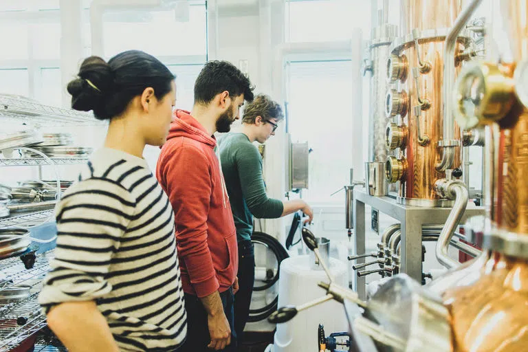 Three viticulture and enology students making wine in a teaching lab in Stocking Hall.