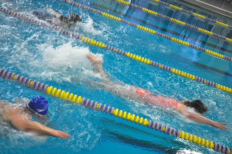 Swimmers actively kick in lanes during a competition. Lanes are divided by purple and yellow floating lines.