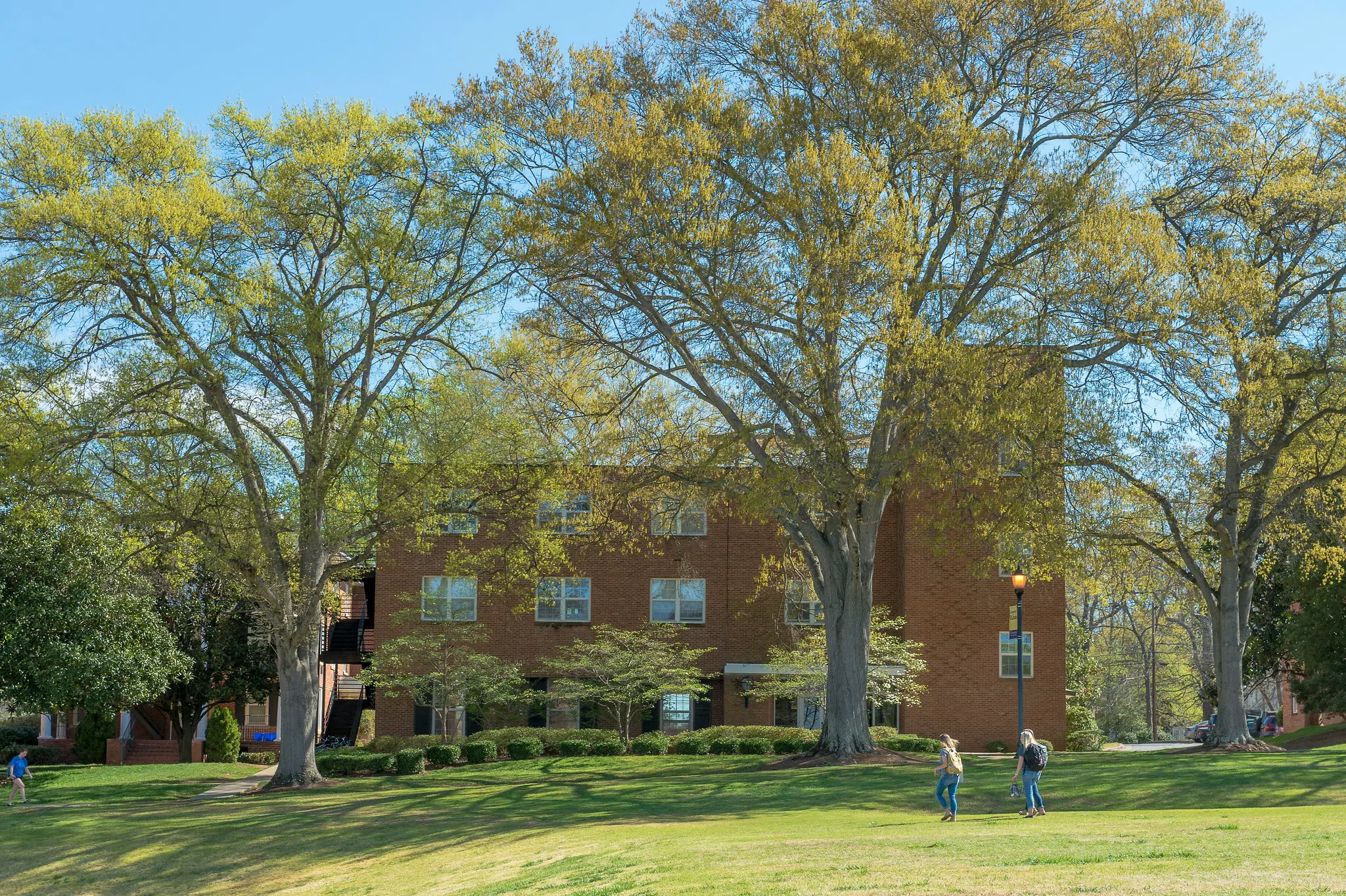 A three-story brick building is visible beyond tall trees blooming in spring.
