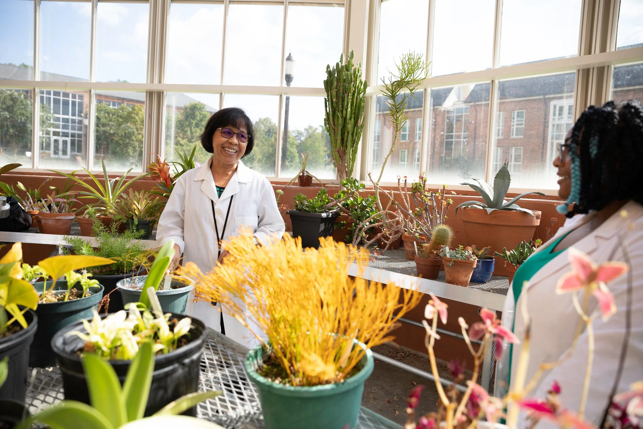 A variety of potted plants fill the foreground and background while a smiling professor admires them in front of large windows.