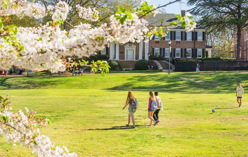 Four students in warm weather clothing cross the grassy field in front of a brick, two-story building. A tree brand in bloom with white flowers appears in the upper right foreground.