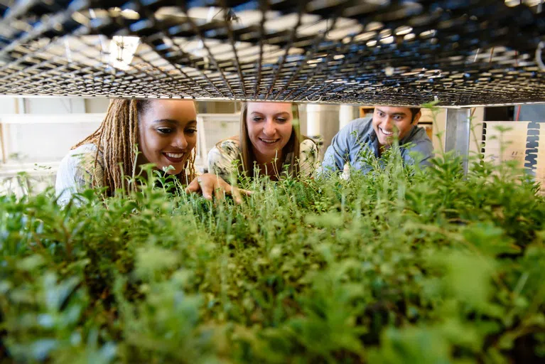 Two students and a professor conduct civil engineering research.