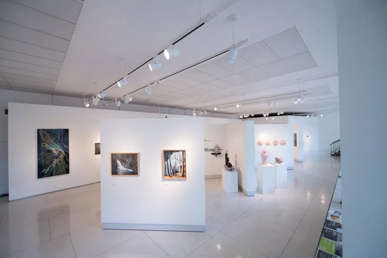 The Lee Hall art gallery hosts a visiting artist exhibit.