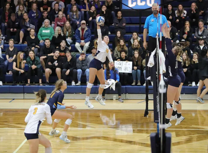 Volleyball player spiking the ball while spectators and team mates watch