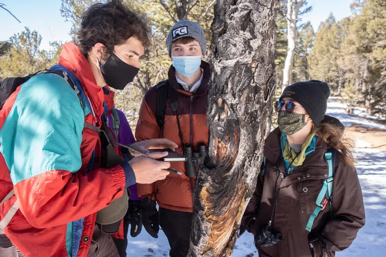 Students gathered documenting forest