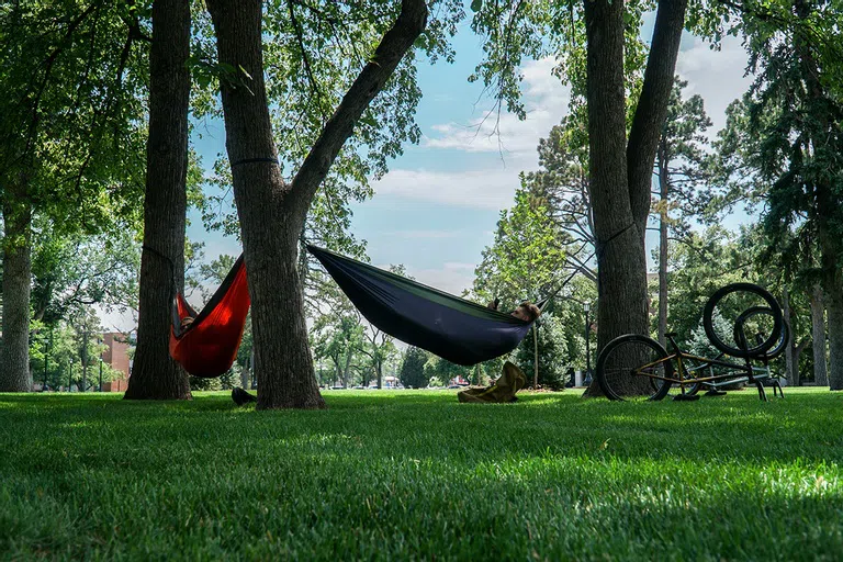 Students lounging in hammocks